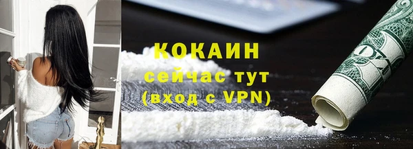 соль ск Абаза