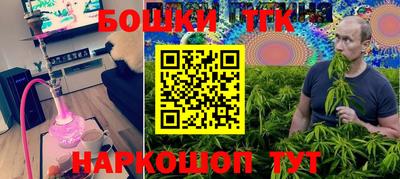 шишки Конаково