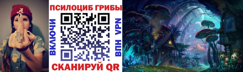 MEGA ссылка  как найти   Кудымкар  Псилоцибиновые грибы Psilocybe 