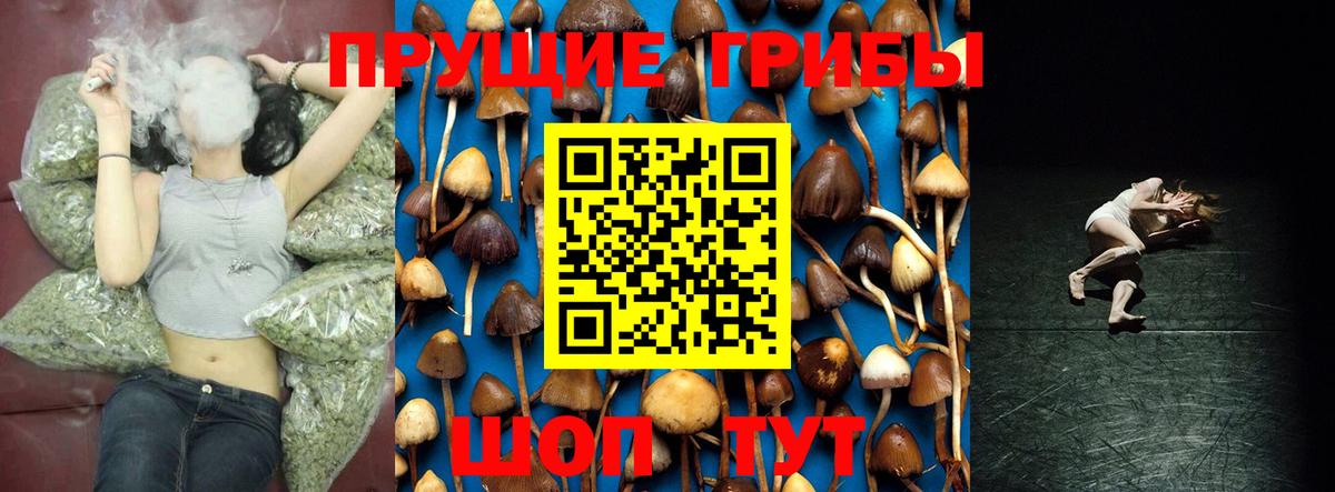 Псилоцибиновые грибы Psilocybine cubensis  магазин продажи наркотиков  Кудымкар  Вход с VPN 