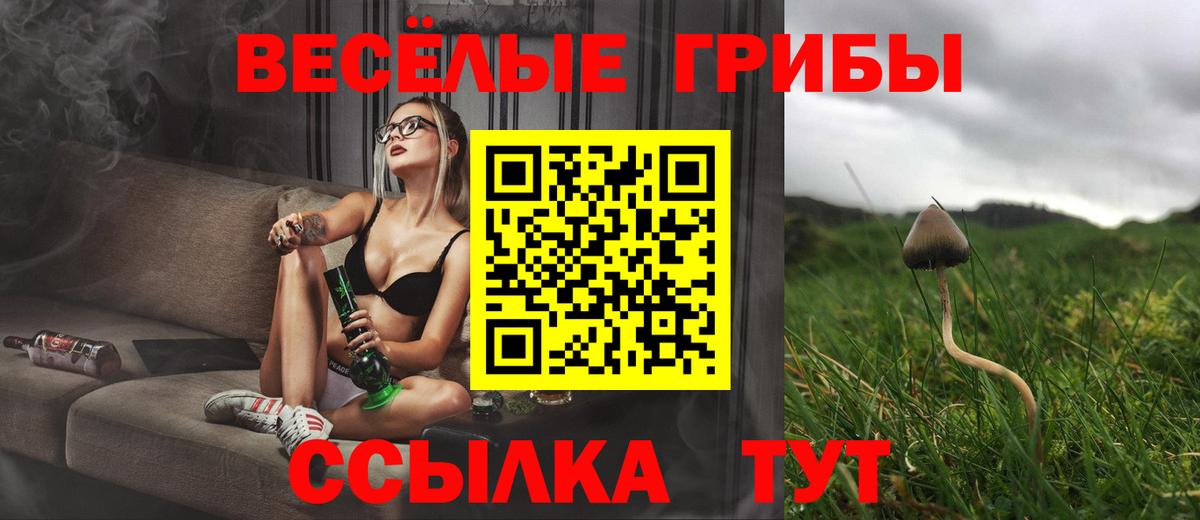 Галлюциногенные грибы Magic Shrooms Кудымкар